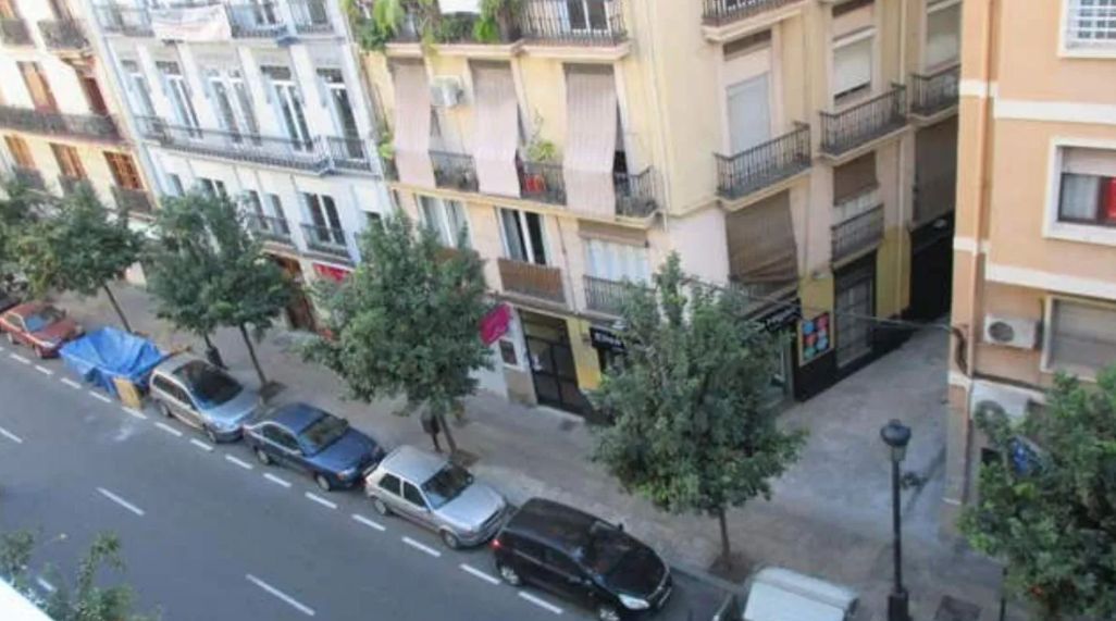 Piso en El Botànic - alojamiento en El Botànic