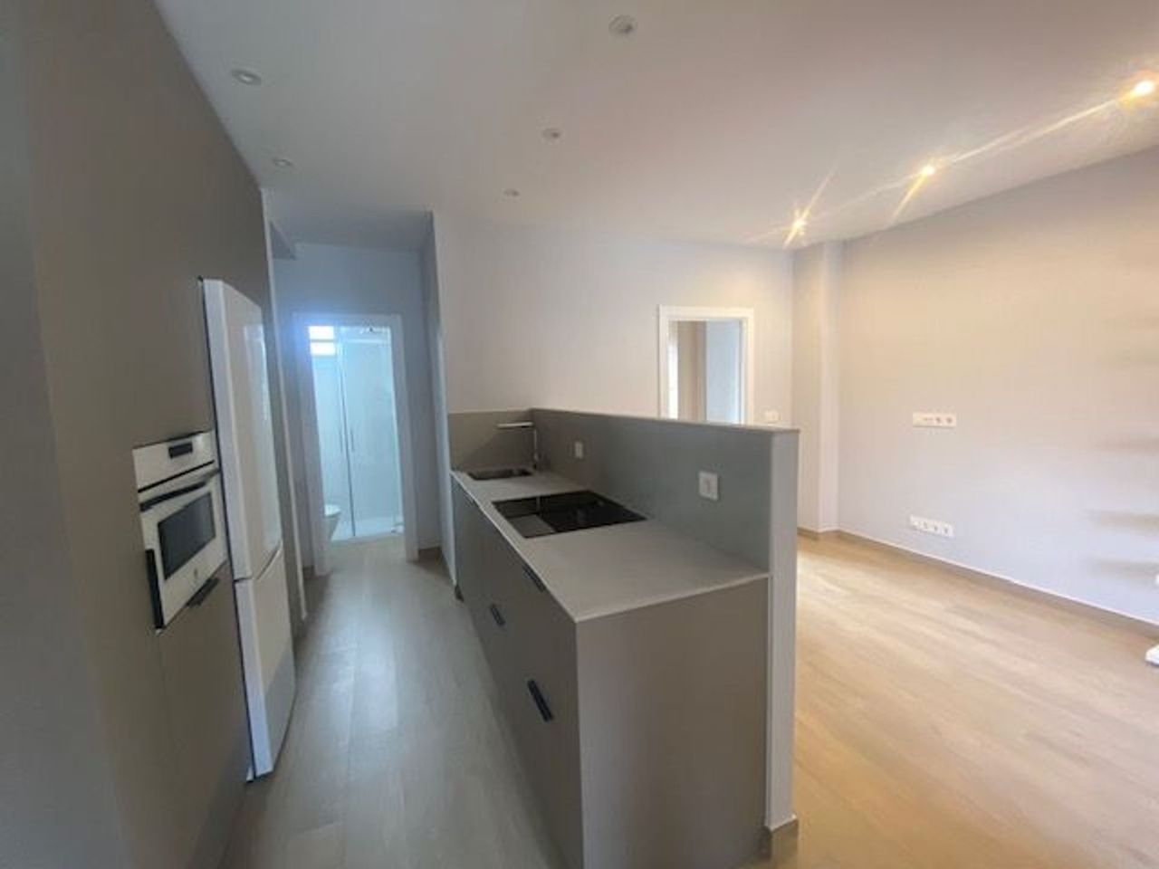 Ático en Gregorio de la Revilla Zumarkalea, Zona Indautxu, Bilbao - alojamiento en Zona Indautxu