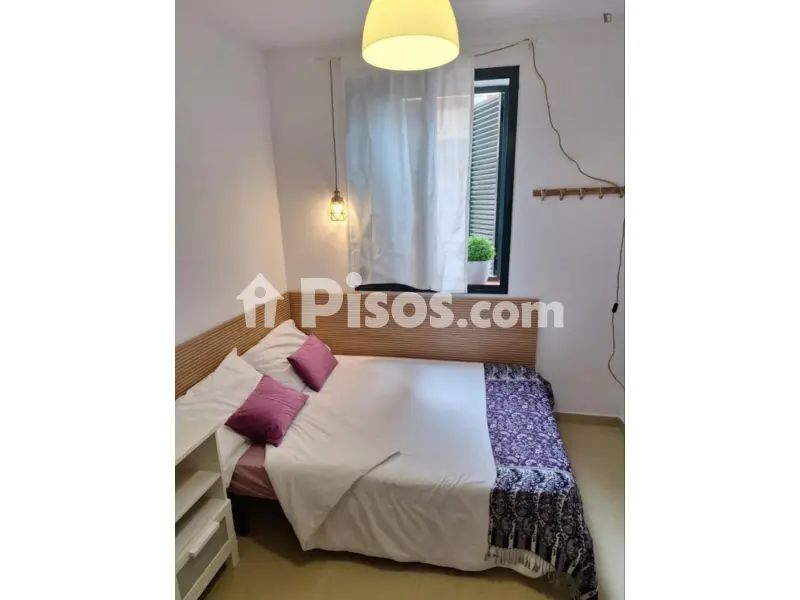 Habitación en Encarnación-Regina - alojamiento para estudiantes en Encarnación-Regina (Distrito Casco Antiguo. Sevilla Capital)