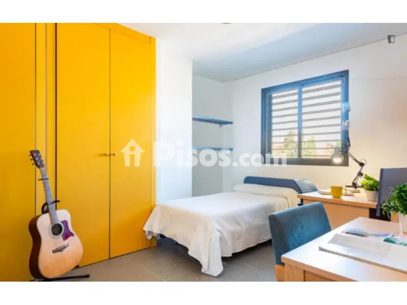 Habitación en Pineda-Pedro Salvador - alojamiento en Pineda-Pedro Salvador (Distrito Bellavista-La Palmera. Sevilla Capital), sevilla
